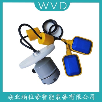 浮球液位计L6-P WVD