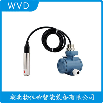 投入式液位变送器LDS WVD