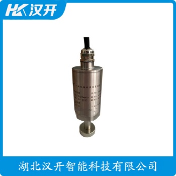 一体化振动变送器RS9200H-V-01-03 WVD