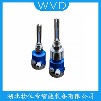 音叉物位开关FTL33-1660/0 WVD