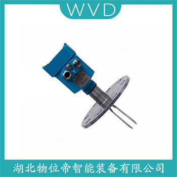 音叉物位开关FTM20-GG25A WVD