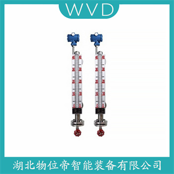 磁浮子液位计UHZ-633 WVD