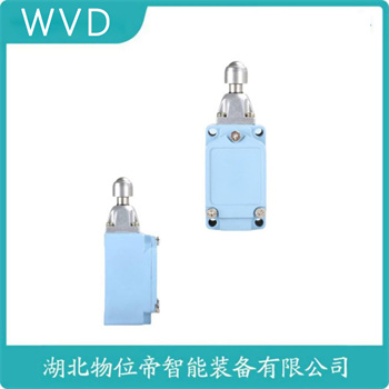 行程限位开关TD250-10/10Z-T WVD