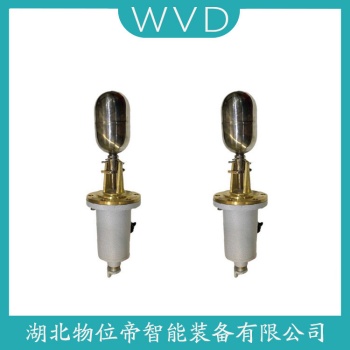 浮球液位计FDSA011DB05C WVD
