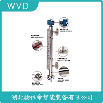 磁浮子液位计UHZ-633 WVD