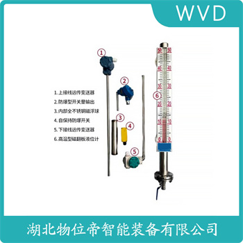 磁浮子液位计TY-UHZ-50/CLF5-LBS-(500-999) WVD