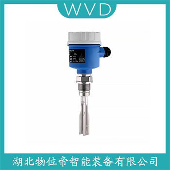 音叉物位开关FTM20-GG25A WVD