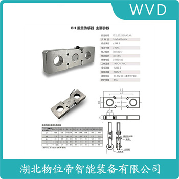 S型称重传感器ZSGBY-A-40t WVD