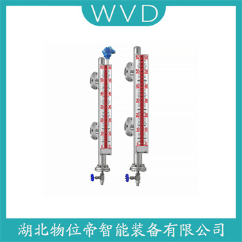 磁浮子液位计UZ-303 WVD