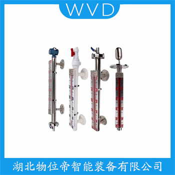 顶装磁翻柱液位计AOUHZ-202 WVD