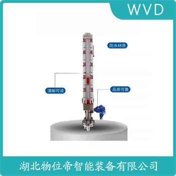 磁浮子液位计TY-UHZ-50/CLF5-LBS-(500-999) WVD