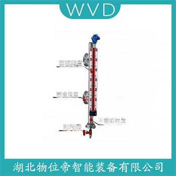 磁浮子液位计UHZ-12JP10 WVD