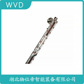 磁浮子液位计UZ-303 WVD
