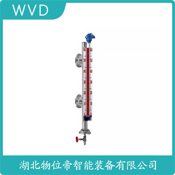 顶装磁翻柱液位计UHZ-1101 WVD