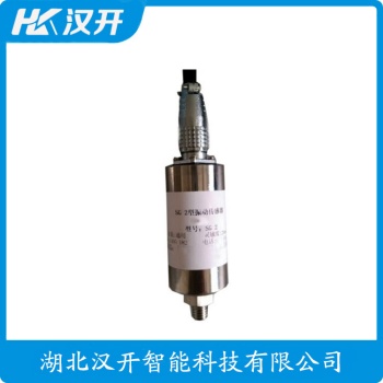 AN1930-00-05-01-00-00-00 一体化振动变送器 WVD