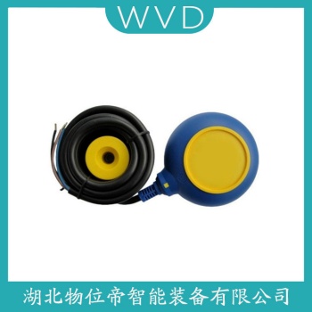 浮球液位计FDSA011DB05C WVD