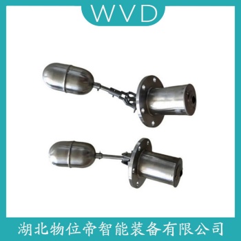 浮球液位计ZYLG-1M WVD