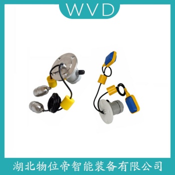 浮球物位计RLS-1000 WVD