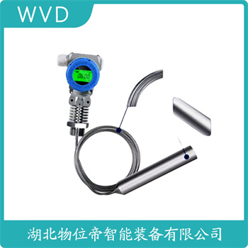 分体式静压液位传感器DB101-G1TE105Z WVD