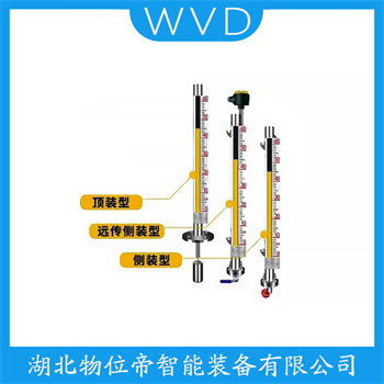 磁浮子液位计TY-UHZ-50/CLF5-LBS-(500-999) WVD