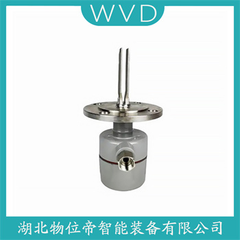 音叉料位开关FTL330L-RFB2S WVD