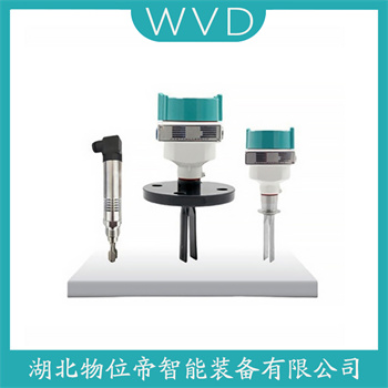 FTM21-AA445A 音叉液位计 WVD