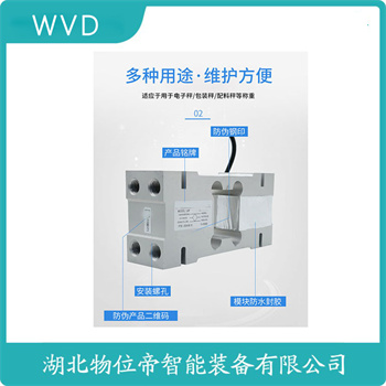 E型称重传感器ZX-10T WVD