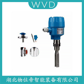 音叉液位计FTM50-ABT2A4A34AA WVD