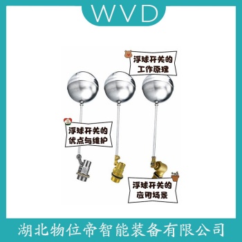 SLF-55-S-A 浮球液位计 WVD