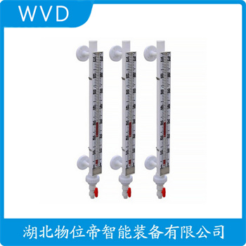 X4M1-AC1A-AAAQ-1111-1N3212B-100 磁翻板液位计 WVD