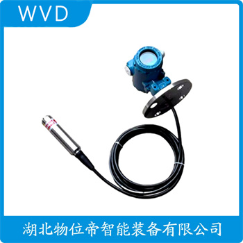 投入式液位变送器HJ306 WVD