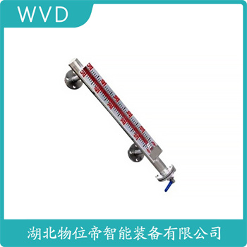 X4M1-AC1A-AAAQ-1111-1N3212B-100 磁翻板液位计 WVD