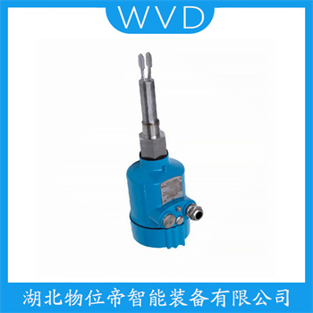 音叉液位计FTM50-ABT2A4A34AA WVD