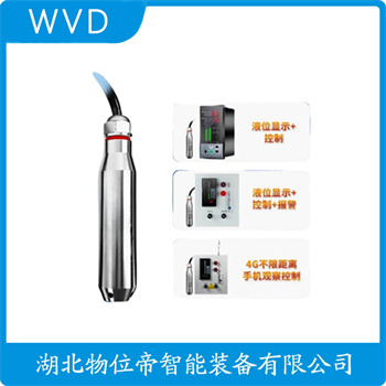 投入式静压液位传感器JCJ800I2S3P52V4 WVD
