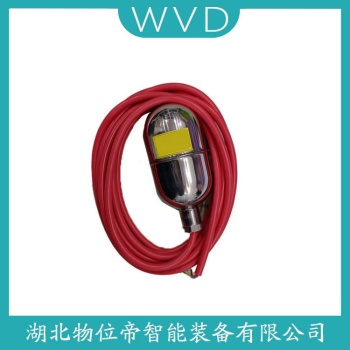 浮球液位计L6-P WVD