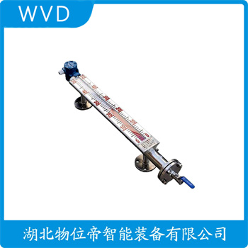 UHZ-12JP10 磁浮子液位计 WVD