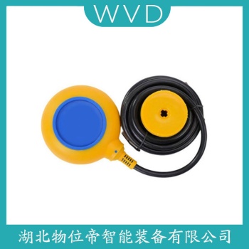 浮球物位计RLS-1000 WVD