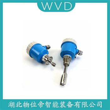 音叉物位开关2160XD8ES1NNBA00001I1WA3WK1M5 WVD