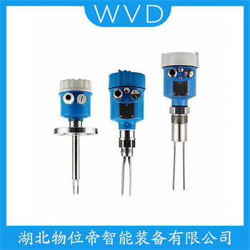 音叉料位开关FTM20-CN45A WVD