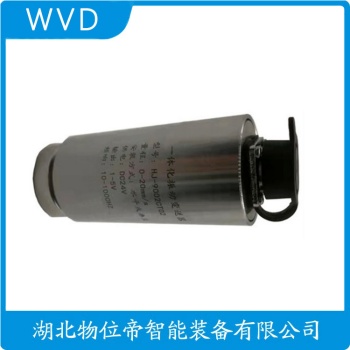一体化振动变送器ZH3000-11-DWQZ25 WVD
