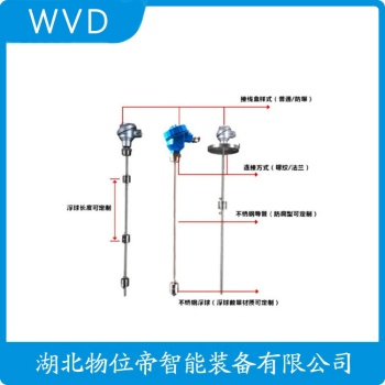 浮球物位计DJY1812-115 WVD