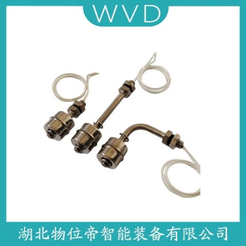 浮球液位计PMS-1173 WVD