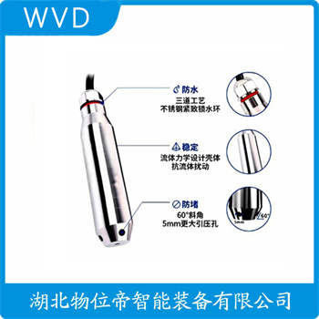 分体式静压液位传感器DB101-G1TE105Z WVD