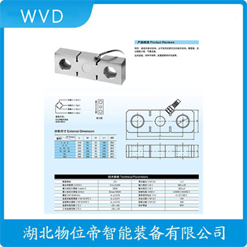 E型称重传感器ZSGB-A-40t WVD
