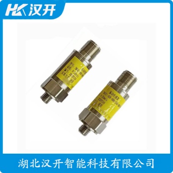 RS9200CT 一体化振动变送器工作原理