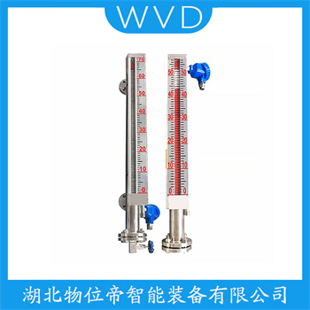 磁浮子液位计YFK999 WVD