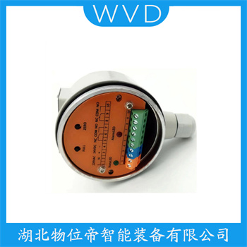 音叉料位开关FTL330L-RFB2S WVD