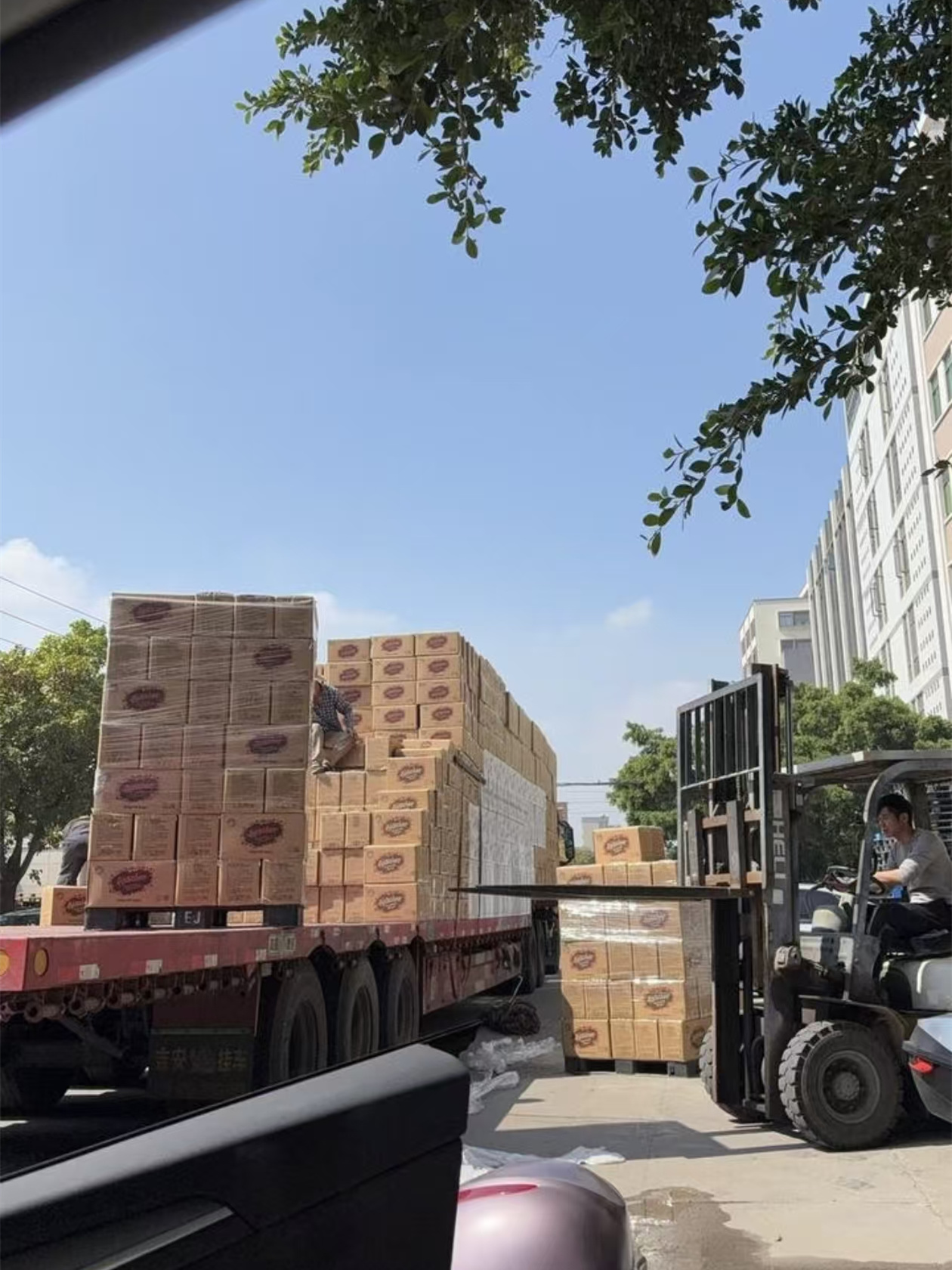 上海到长春绿园物流专线-上海直达长春绿园货运物流专线公司「配货站」