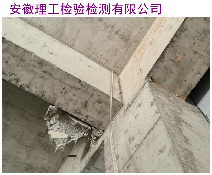 安顺自建房房屋安全检测服务单位2026-厂家推荐盘点