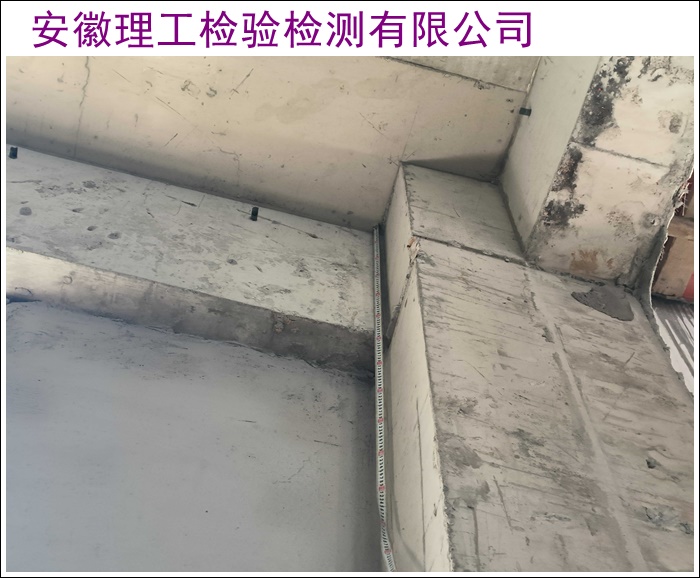 自贡幼儿园房屋安全质量检测鉴定评估单位2026-源头厂家怎么选